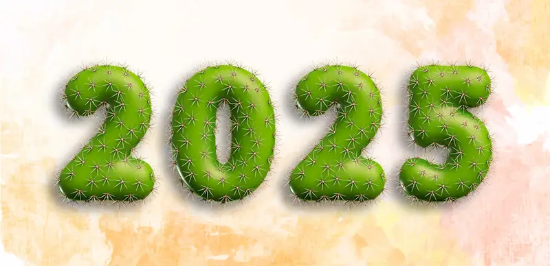 Voeux 2025