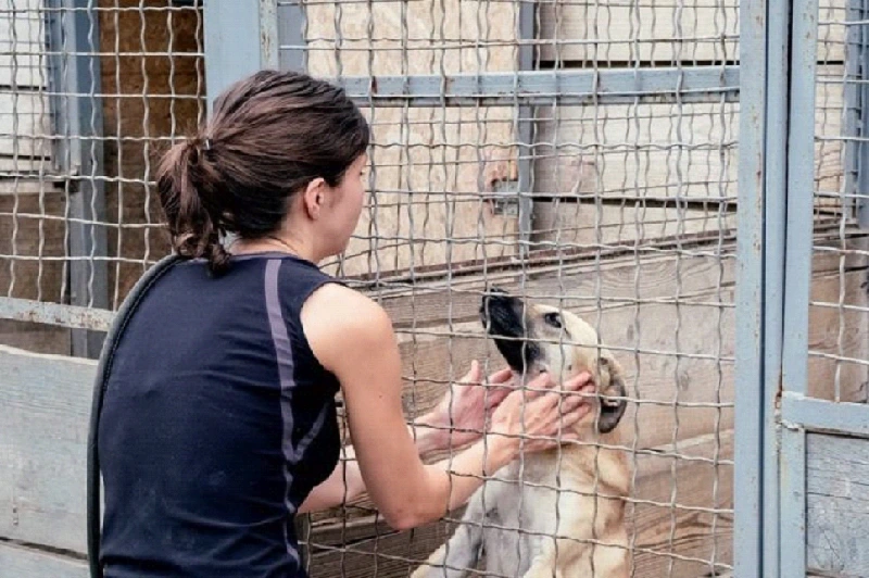 Les familles de Flip et Flop aiment trop les animaux
