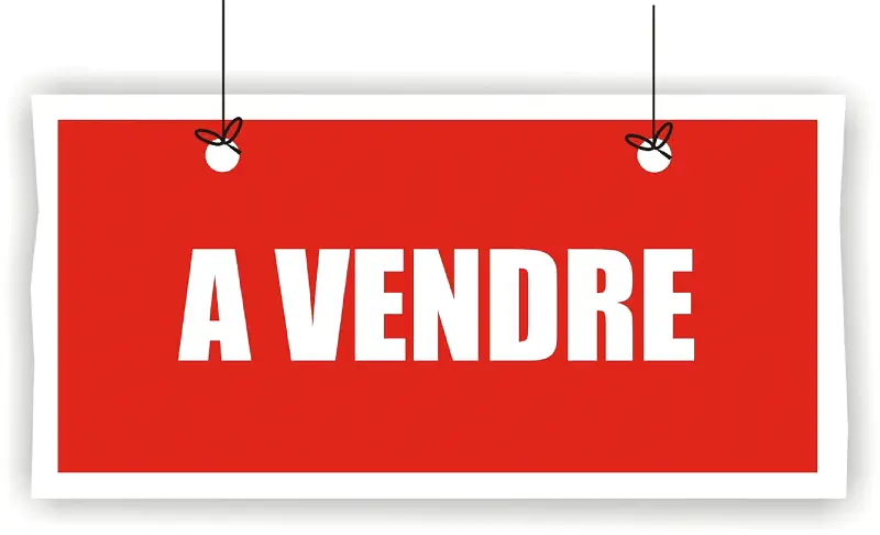 A vendre : cactus de Monaco