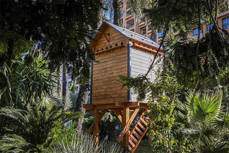 Monaco veut pigeonner ses pigeons