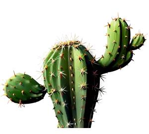 Cactus Logo